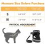 rabbitgoo Cat Harness and Leash Set for Walking Escape Proof, Adjustable Soft Kittens Vest with Reflective Strip for Extra Small and Small Cats, Step-in Comfortable Outdoor Vest
