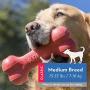 KONG Goodie Bone Dog Toy KONG Goodie Bone Dog Toy