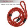 Coolrunner Durable Dog Slip Rope Leash, 5 FT Dog Training Leash, Strong Slip Lead, Standard Adjustable Pet Slipknot Nylon Leash for Small Medium Dogs(10-80 lb)
