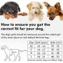 metric usa / Comfort Fit Pets Lightweight Soft Padded No Pull Small Dog Harness Vest ● Easy to Put on & Take Off ● Interior & Exterior Padded Puppy Harness ● Ensures Your Dog is Cool & Comfortable metric usa / Comfort Fit Pets Lightweight Soft Padded No Pull Small Dog Harness Vest ● Easy to Put on & Take Off ● Interior & Exterior Padded Puppy Harness ● Ensures Your Dog is Cool & Comfortable