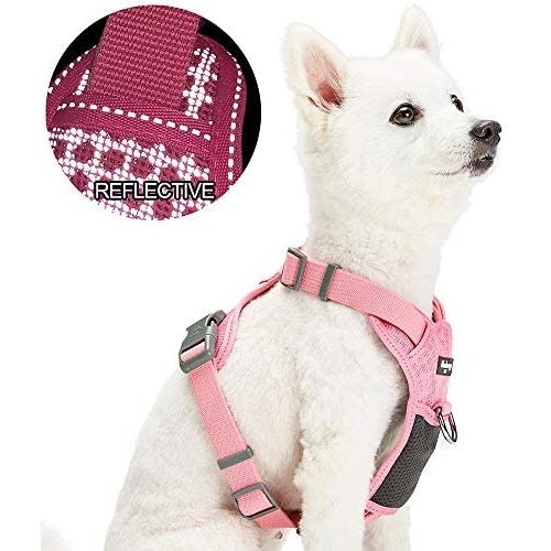 Blueberry Pet 15+ Colors Safe & Comfy Reflective Multi-Colored Stripe Collection - Collars, Harnesses, Leashes, Seatbelts for Dogs, Matching Lanyards for Pet Lovers