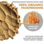 Cordyceps-M Peak Performance Mushroom Extract Powder for Energy, Stamina & Endurance, 60g Bulk Cordyceps Mushroom Powder for Immune Support & Recovery, Verified Levels of Beta-Glucans, 60Day Supply