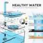 petnf 2020 Newest Upgraded Cat Fountain for Pet 100oz/3L,Dog Cat Water Fountain,Automatic Drinking Fountain,Dog Water Dispenser,Ultra Quiet, Adjustable Water Flow,Activated Carbon petnf 2020 Newest Upgraded Cat Fountain for Pet 100oz/3L,Dog Cat Water Fountain,Automatic Drinking Fountain,Dog Water Dispenser,Ultra Quiet, Adjustable Water Flow,Activated Carbon