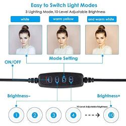 Kikunum 10.2" Selfie Ring Light Dimmable with Tripod Stand and Cell Phone Holder, Mini Led Camera Ring Light for Live