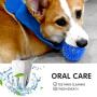 Squeaky Balls for Dogs Small, Fetch Balls for Dogs Rubber 6 Pack Bright Colors TPR Puppy Toys Dog Toy Balls Dog Squeaky Toys Spike Ball Dog Chew Toys for Small Dogs Pet Toys for Puppy Teething Toys