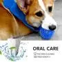 Squeaky Balls for Dogs Small, Fetch Balls for Dogs Rubber 6 Pack Bright Colors TPR Puppy Toys Dog Toy Balls Dog Squeaky Toys Spike Ball Dog Chew Toys for Small Dogs Pet Toys for Puppy Teething Toys