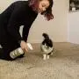TriNova Natural Pet Stain and Odor Remover Eliminator - Advanced Enzyme Cleaner Spray - Remove Old & New Pet Stains & Smells for Dogs & Cats - All-Surface Safe TriNova Natural Pet Stain and Odor Remover Eliminator - Advanced Enzyme Cleaner Spray - Remove Old & New Pet Stains & Smells for Dogs & Cats - All-Surface Safe