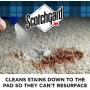 Scotchgard - 1026C Oxy Carpet & Fabric Spot & Stain Remover, 26 Fluid Ounce