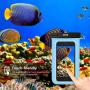 JOTO Universal Waterproof Pouch Cellphone Dry Bag Case for iPhone 11 Pro Max Xs Max XR X 8 7 6S Plus SE 2020, Galaxy S20 Ultra S20+ S10 Plus S10e S9 Plus S8/Note 10+ 9, Pixel 4 XL up to 6.9" -Blue