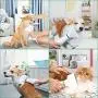 PETRIP Dog Hair Dryer Pet Dryer Professional Grooming Blower Dog Slicker Brush for Large Medium Small Dog Cat