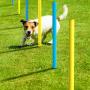 Sowsun Dog Agility Equipment, Outdoor Games Exercise Training Obstacle Course Hurdles for Jumping Practice, Agility Starter Kit with Carrying Case