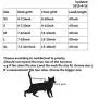 Escape Proof Cat Harness with Leash, Adjustable Cat Walking Jackets, Padded Cat Vest Escape Proof Cat Harness with Leash, Adjustable Cat Walking Jackets, Padded Cat Vest