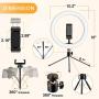 Ring Light 10" with Desk Tripod Stand Phone Holder Desktop Ringlight 3 Light Modes 10 Brightness Level for Live Streaming YouTube Video Dimmable Desktop Makeup Photography Shooting (10 inch)