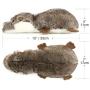 Pawaboo Squeak Plush Dog Toys, Stuffed Plush Pet Toys Soft Faux-Fur Pet Rattle Puppy Bite Play Chew Toys Non-Toxic Plush Doll