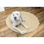 Pet Parents Pawtect Pads Washable Dog Pee Pads (2pack) of Premium Pee Pads for Dogs, Waterproof Whelping Pads, Reusable Dog Training Pads, Travel Pet Pee Pads! Modern Puppy Pads!