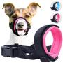 Gentle Muzzle Guard for Dogs - Prevents Biting Unwanted Chewing Safely Secure Comfort Fit - Soft Neoprene Padding – No More Chafing – Included Training Guide Helps Build Bonds Pet