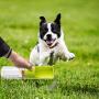 Dog Water Bottle for Walking, Portable Water Bottle with Bowl Dispenser Travel Drinking Feeder for Dog & Cat
