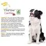 Zesty Paws Stay Green Bites for Dogs - Grass Burn Soft Chews for Lawn Spots Caused by Dog Urine - Cran-Max Cranberry for Urinary Tract & Bladder - with Apple Cider Vinegar + Digestive Enzymes - 90 Ct Zesty Paws Stay Green Bites for Dogs - Grass Burn Soft Chews for Lawn Spots Caused by Dog Urine - Cran-Max Cranberry for Urinary Tract & Bladder - with Apple Cider Vinegar + Digestive Enzymes - 90 Ct
