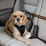Kurgo Direct to Seatbelt Tether for Dogs | Car Seat Belt for Pets | Adjustable Dog Safety Belt Leash | Quick & Easy Installation | Works with Any Pet Harness | Carabiner | Swivel | Bungee | Zipline