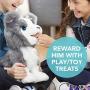 FurReal Friends Ricky, the Trick-Lovin’ Interactive Plush Pet Toy, 100+ Sound-and-Motion Combinations, Ages 4 and Up