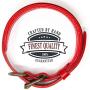 Logical Leather Padded Dog Collar - Best Full Grain Heavy Duty Genuine Leather Collars