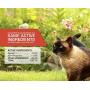 Pet Action Plus Flea & Tick Treatment for Cats Over 1.5 lbs, 3 Month Supply