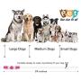LED Dog Collar, USB Rechargeable Flashing Light Up Collar for Safety at Night, Adjustable Water Resistant Bright Lighted Collar for Small Medium Large Dogs