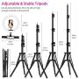 12" LED Ring Light with Tripod Stand, Circle Light, Selfie Ring Light, Kit with 3 Colors & 10 Brightness for Makeup/YouTube Video/Live Streaming/Camera/Phone Video Shooting