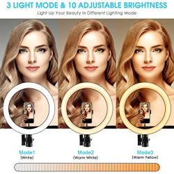 10.2" Ring Light,LED Selfie Ring Light with Stand and Phone Holder(16.93 - 64.57),3 Light Modes,10 Brightness,Remote Control,Dimmable Fill Ringlight for Live Stream/Makeup/YouTube/Photography