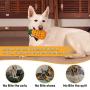 Fairwin Ultra-Durable Dog Toys for Aggressive Chewer - Lifetime Replacement Guarantee - Indestructible Bite-Resistant Tough Chew Toys for Boredom Medium Large Dogs, Food Grade Non-Toxic Teething Toy Fairwin Ultra-Durable Dog Toys for Aggressive Chewer - Lifetime Replacement Guarantee - Indestructible Bite-Resistant Tough Chew Toys for Boredom Medium Large Dogs, Food Grade Non-Toxic Teething Toy