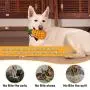Fairwin Ultra-Durable Dog Toys for Aggressive Chewer - Lifetime Replacement Guarantee - Indestructible Bite-Resistant Tough Chew Toys for Boredom Medium Large Dogs, Food Grade Non-Toxic Teething Toy