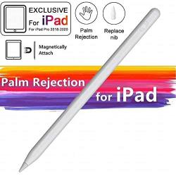 Stylus Pen for iPad with Palm Rejection, iPad Pencil with Magnetic Design Compatible with Apple iPad 6th 7th Gen/iPad Pro 3rd Gen/iPad Mini 5th Gen/iPad Air 3rd Gen, Rechargeable Active Stylus