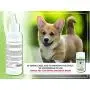 Arava Natural Cat & Dog Ear Treatment - Pet Otic Ear Care Solution - Antibacterial Antifungal Anti Yeast Anti Itch Effective Ear Cleaner - First Aid in Acute & Chronic Ears Inflammations Arava Natural Cat & Dog Ear Treatment - Pet Otic Ear Care Solution - Antibacterial Antifungal Anti Yeast Anti Itch Effective Ear Cleaner - First Aid in Acute & Chronic Ears Inflammations
