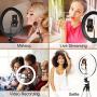 13" Selfie Ring Light with Tripod Stand and Cell Phone Holder for Makeup/YouTube/Tiktok, 10 Levels Brightness & 3 Modes 164 LED Bulbs Chip Ring Light with Remote Control, Compatible for iPhone/Android