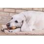 Downtown Pet Supply Himalayan Yak Nugget Dog Chew, 100% Natural Dog Chews, Value Pack