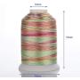 Simthread 6 Colors Polyester Variegated Embroidery Machine Thread 1100 Yards (1000M) for Decoration Babylock Singer Brother Janome Pfaff Husqvarna Embroidery and Sewing Machine - Anemone Garden