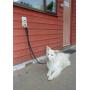 Halti Training Lead for Dogs Halti Training Lead for Dogs