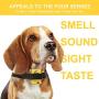 Downtown Pet Supply NO BARK Collar Citronella Spray Collar, Anti-Bark Deterrent for Dogs Kit - Safe, Effective, and Humane Dog Barking Control Collar