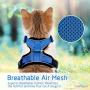 rabbitgoo Cat Harness and Leash for Walking, Escape Proof Soft Adjustable Vest Harnesses for Medium Large Cats, Easy Control Breathable Pet Safety Jacket with Reflective Strips & 1 Metal Leash Ring