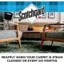 Scotchgard Fabric & Carpet Cleaner, 1 Can, 16.5 Ounces Scotchgard Fabric & Carpet Cleaner, 1 Can, 16.5 Ounces