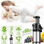 Juicer Slow Juicers Machine Portable Vertical Cold Press Juicer with Reversal Function, BPA-free Masticating Juicer with Juice Jug and Clean Brush for Vegetables and Fruits