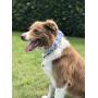 USP Pet Soft &Comfy Bowtie Dog Collar and Cat Collar Pet Gift for Dogs and Cats 6 Size and 7 Patterns