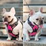 PoyPet No Pull Dog Harness, [Upgraded Version] No Choke Front Lead Dog Reflective Harness, Adjustable Soft Padded Pet Vest with Easy Control Handle for Small to Large Dogs