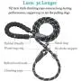 iYoShop 6FT Extremely Durable Slip Dog Rope Training Leash with Comfortable Padded Handle and Highly Reflective Threads Quality Slip Lead for Small Medium and Large Dogs, Black, Medium Large (6 FT) iYoShop 6FT Extremely Durable Slip Dog Rope Training Leash with Comfortable Padded Handle and Highly Reflective Threads Quality Slip Lead for Small Medium and Large Dogs, Black, Medium Large (6 FT)