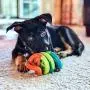 JW Pet Company Dogs iN Action Dog Toy, Small (Colors Vary)