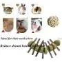 VCZONE Bunny Chew Toys, Rabbit Pet Tooth Chew Toys Organic Natural Apple Wood Grass Cake Ideal for Bunny, Chinchilla, Guinea Pigs, Hamsters Teeth Grinding