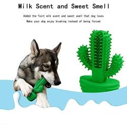 JUKOO Cactus Shaped Dog Chew Toys for Aggressive chewers, Dog Dental Care Brushing Stick, Milk Scent Natural Rubber Dog Chew Toothbrush for Puppy Small Medium Big Dog(Green)