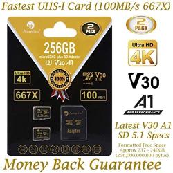 2-Pack 256GB Micro SD Card Plus Adapter - Amplim 256 GB MicroSD SDXC V30 A1 U3 Class 10 Ultra High Speed 100MB/s UHS-I TF XC MicroSDXC Memory Card for Cell Phone, Nintendo, Galaxy, Fire, Gopro Camera