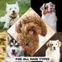 Wahl Dry Skin & Itch Relief Pet Shampoo for Dogs – Oatmeal Formula with Coconut Lime Verbena & 100% Natural Ingredients – 24 Oz Wahl Dry Skin & Itch Relief Pet Shampoo for Dogs – Oatmeal Formula with Coconut Lime Verbena & 100% Natural Ingredients – 24 Oz