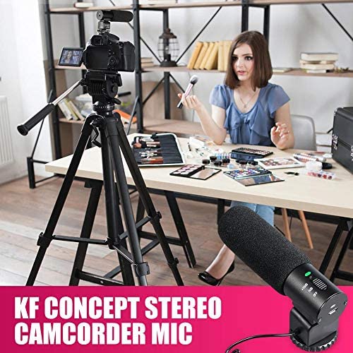 Winterjoys Single-Channel Microphone, Concept Stereo Camcorder Microphone for DSLR Camera Computer Mobile Phone PC Interview Talk Recording Microphone.